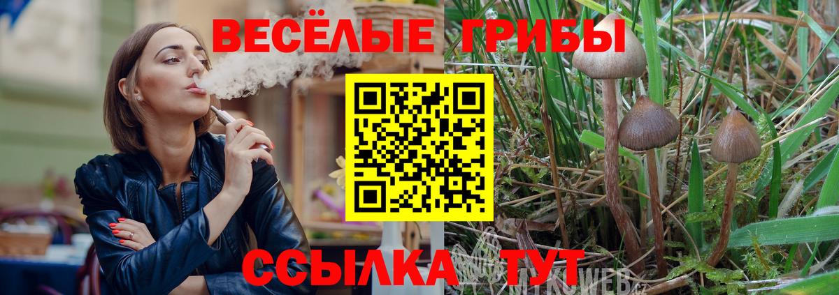 Псилоцибиновые грибы Cubensis Первоуральск